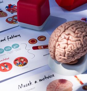 9 z 10 lidí neví, jak správně postupovat při resuscitaci dětí, ukázaly výsledky průzkumu Kia